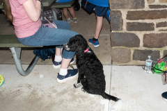 moyer-5k-race-photo-270