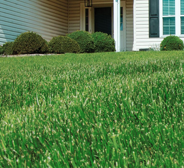 moyer blog best time to fertilize your lawn mobile