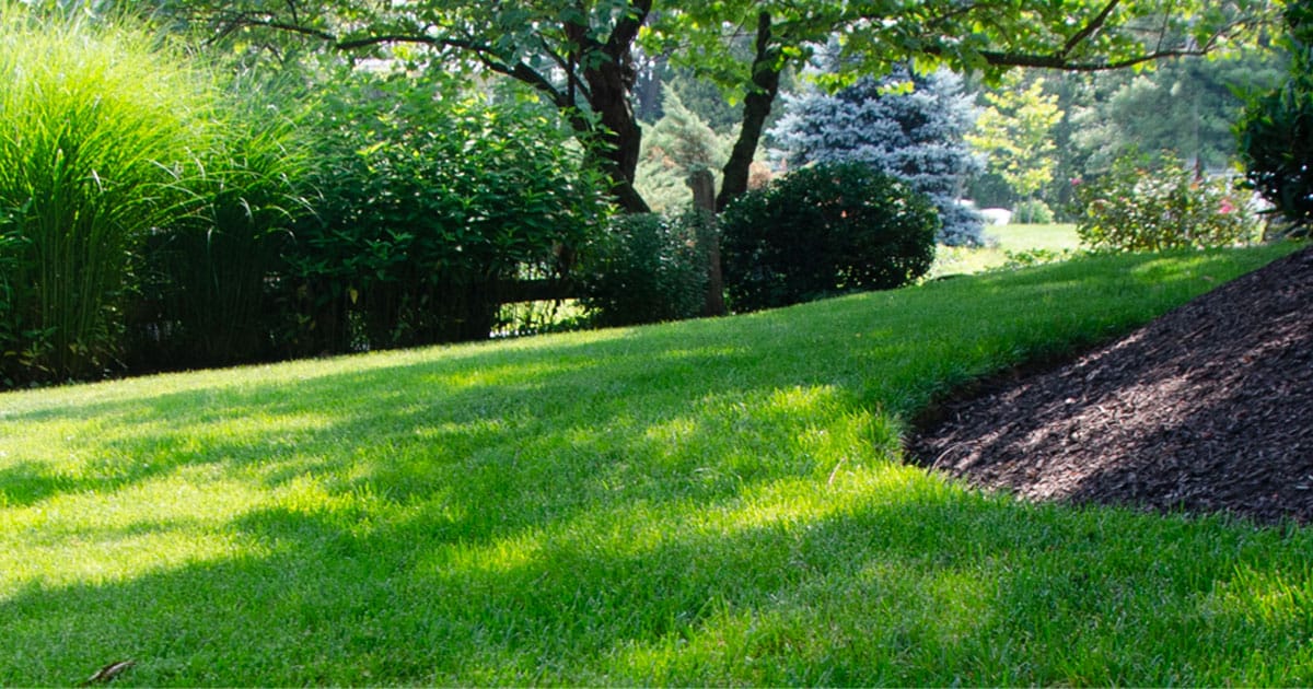 Lawn Lime Application Experts Moyer