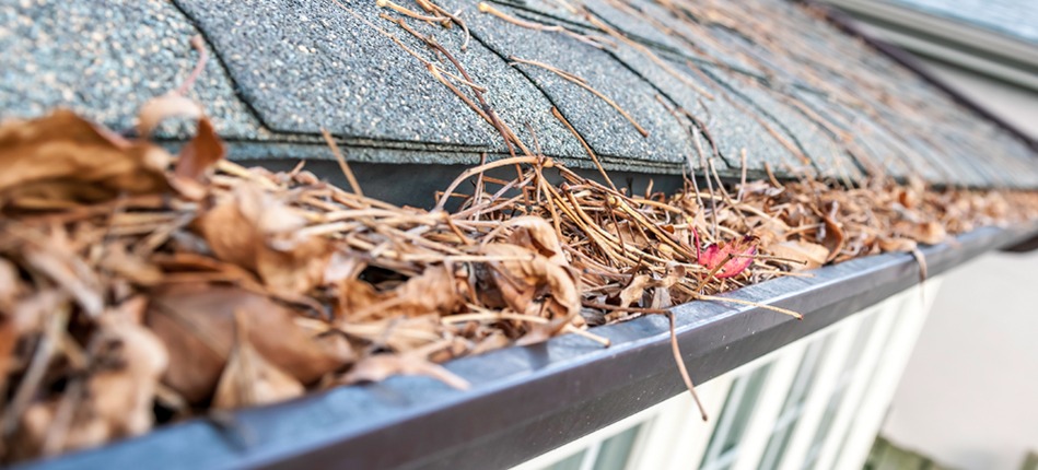 home maintenance checklist for the spring