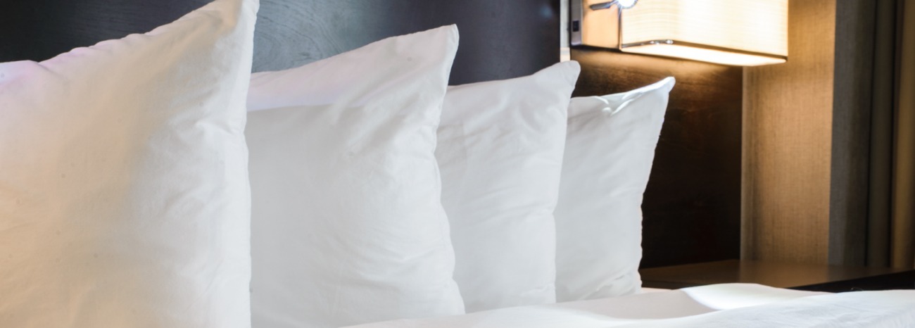 How Do Hotels Prevent Bed Bugs Moyer