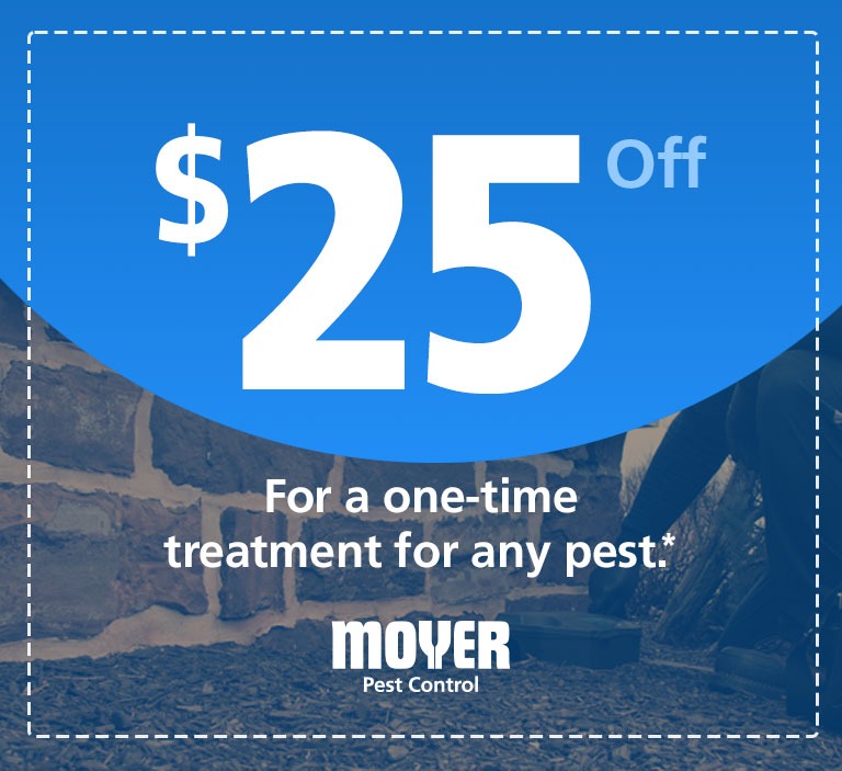 moyer-special-pest-25off-mobile