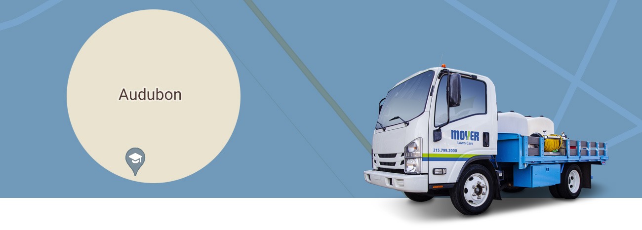 moyer-locations-tree-shrub-care-Audubon-NJ-hero