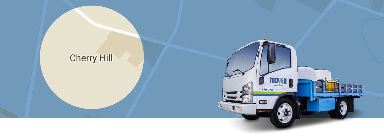 moyer-locations-lawn-care-Cherry-Hill-NJ-hero