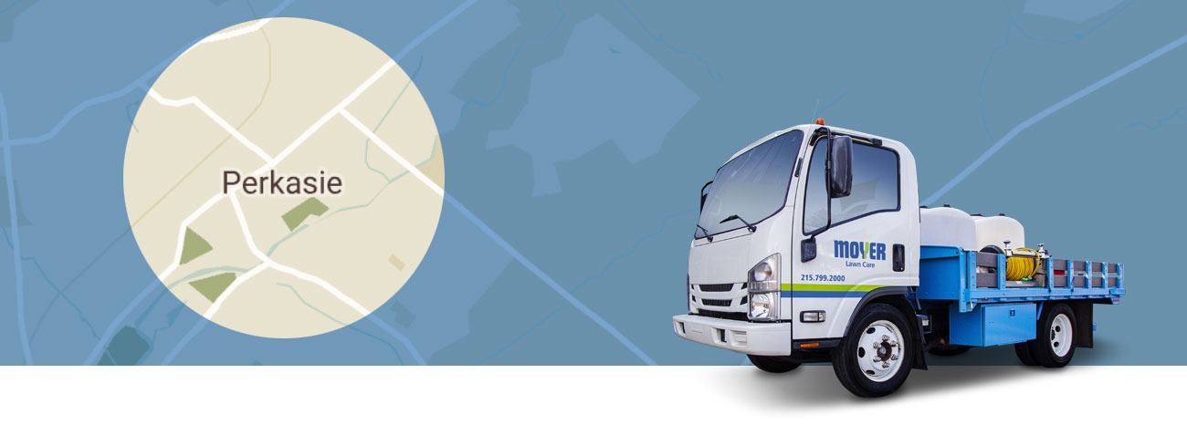 moyer-locations-lawn-care-Perkasie-hero