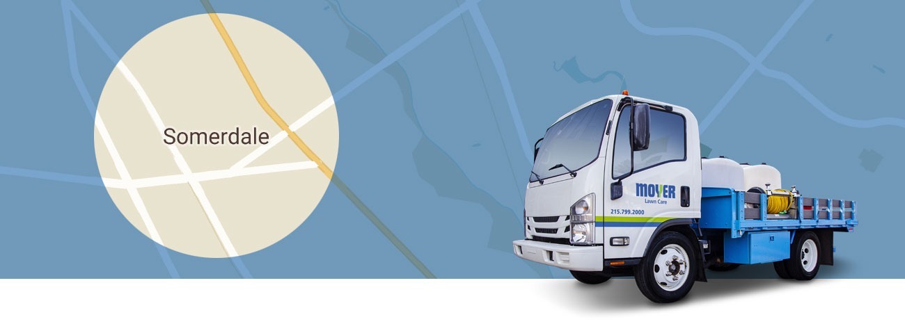 moyer-locations-lawn-care-Somerdale-NJ-hero