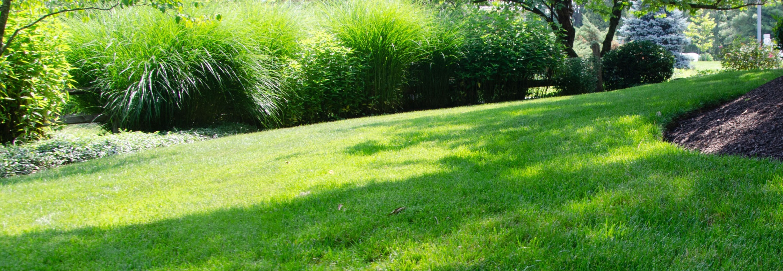 Lawn Care Services Moyer Lawn Care
