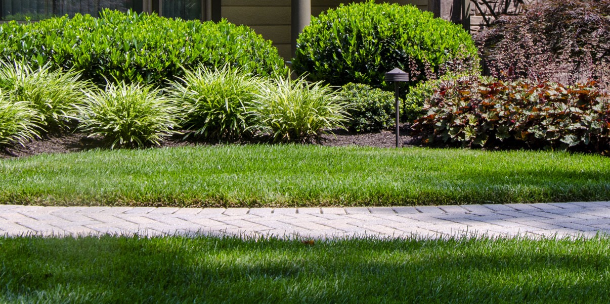 Professional Bed Weed Control