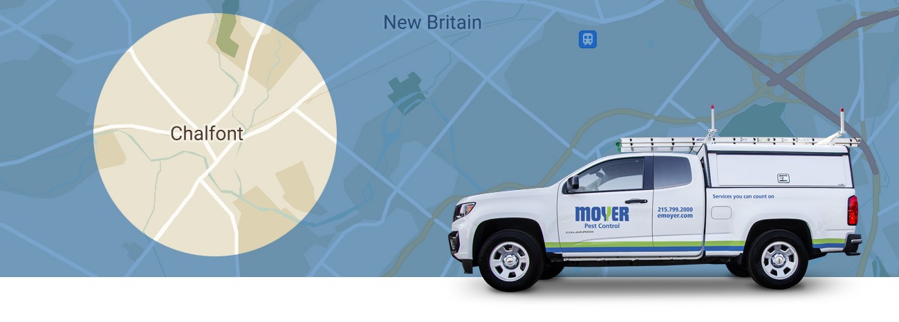 moyer-locations-pest-Chalfont-hero