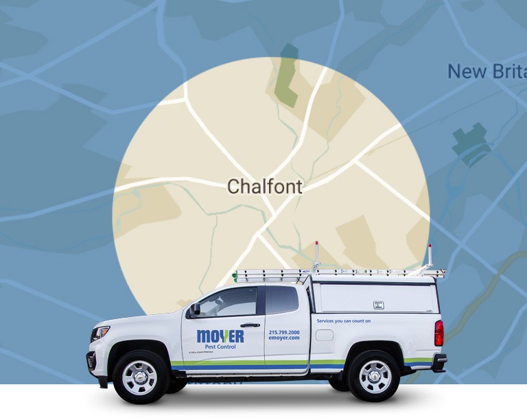 moyer-locations-pest-Chalfont-mobile