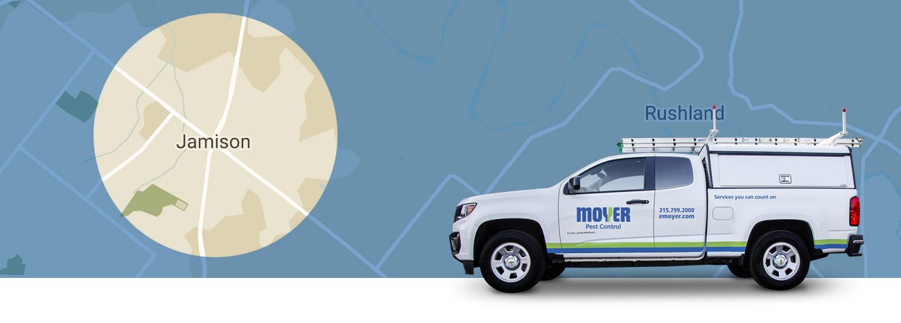 moyer-locations-pest-Jamison-hero