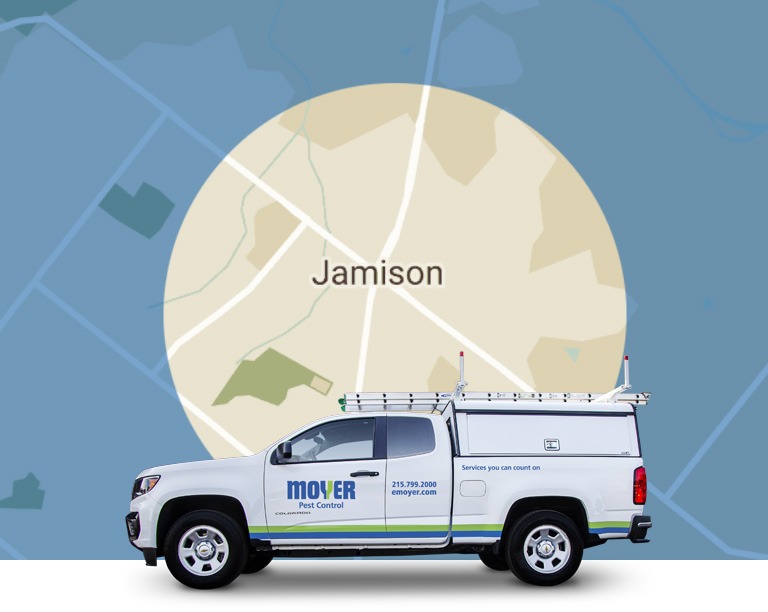 moyer-locations-pest-Jamison-mobile