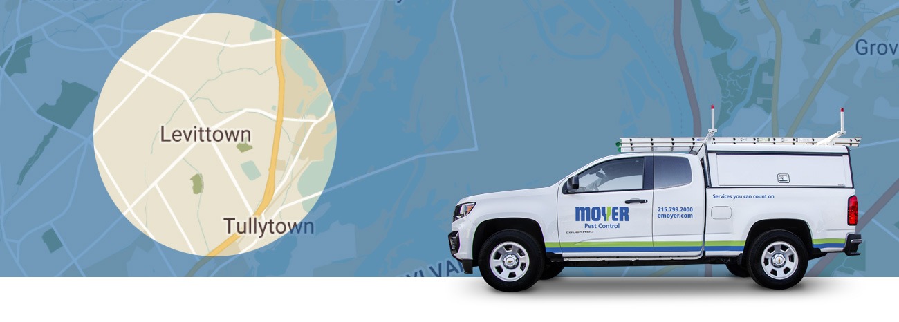 moyer-locations-pest-Levittown-hero