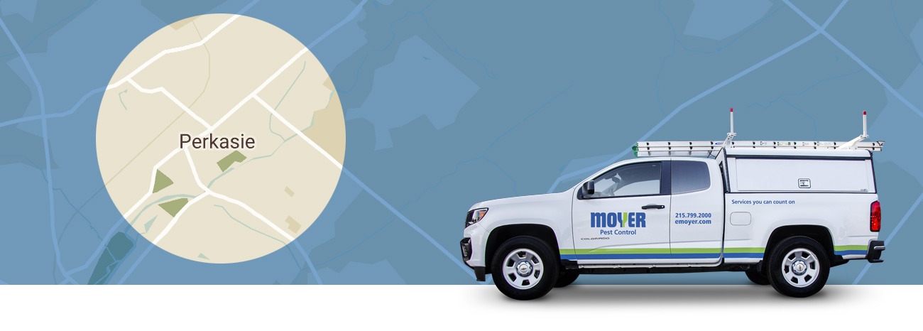 moyer-locations-pest-Perkasie-hero