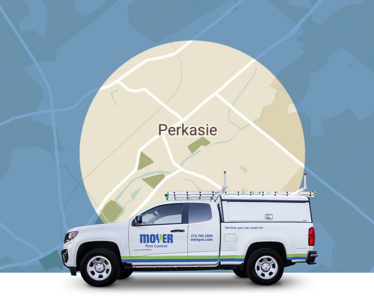 moyer-locations-pest-Perkasie-mobile