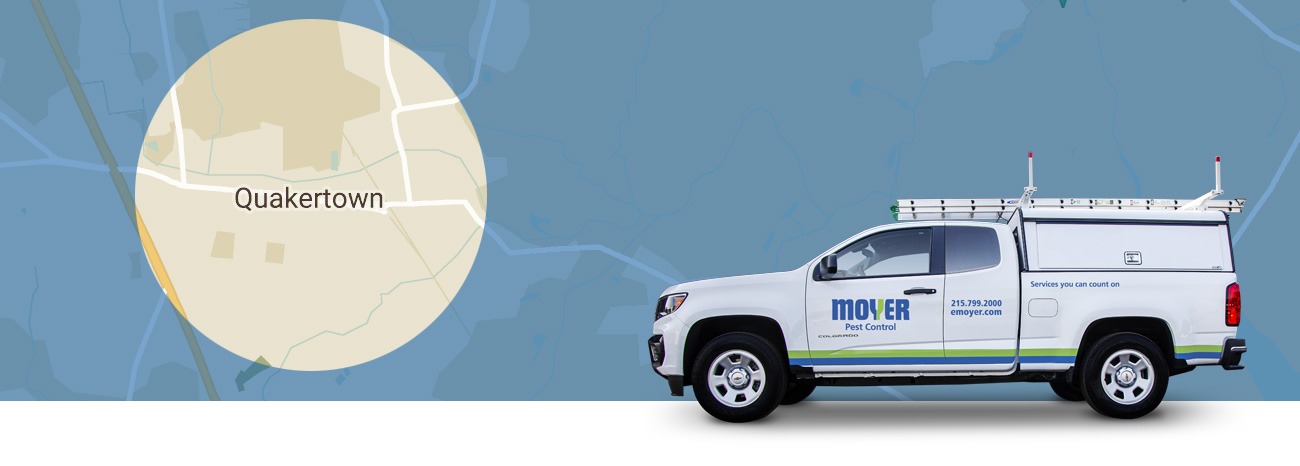 moyer-locations-pest-Quakertown-hero