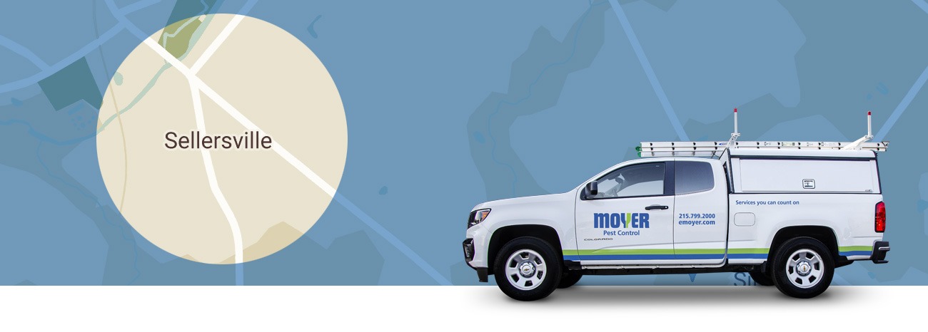moyer-locations-pest-Sellersville-hero