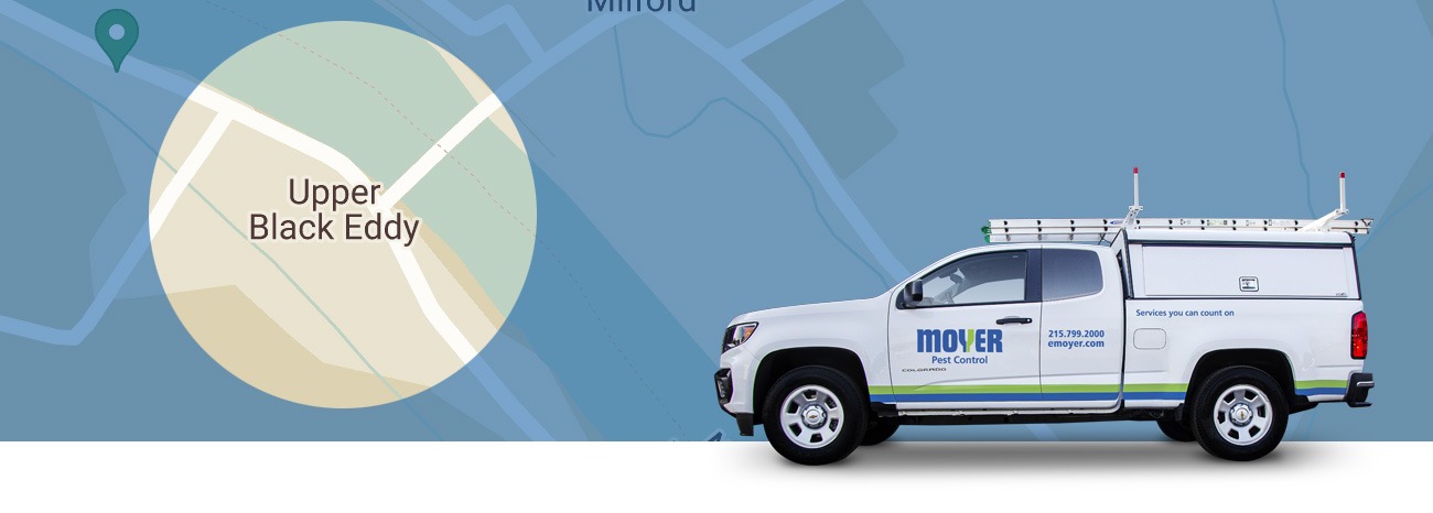 moyer-locations-pest-Upper-Black-Eddy-hero