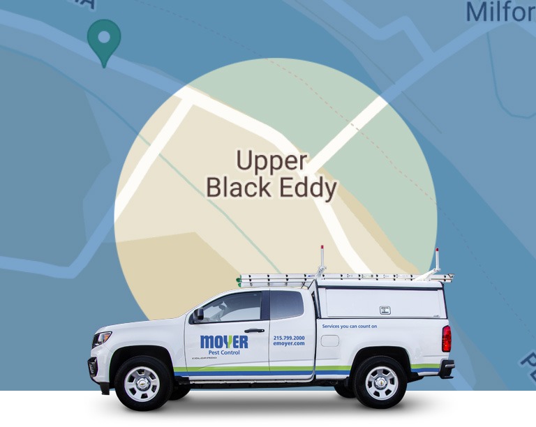 moyer-locations-pest-Upper-Black-Eddy-mobile