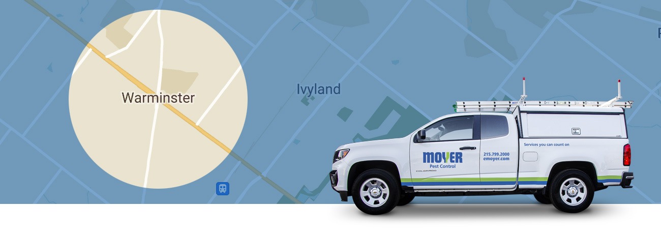 moyer-locations-pest-Warminster-hero